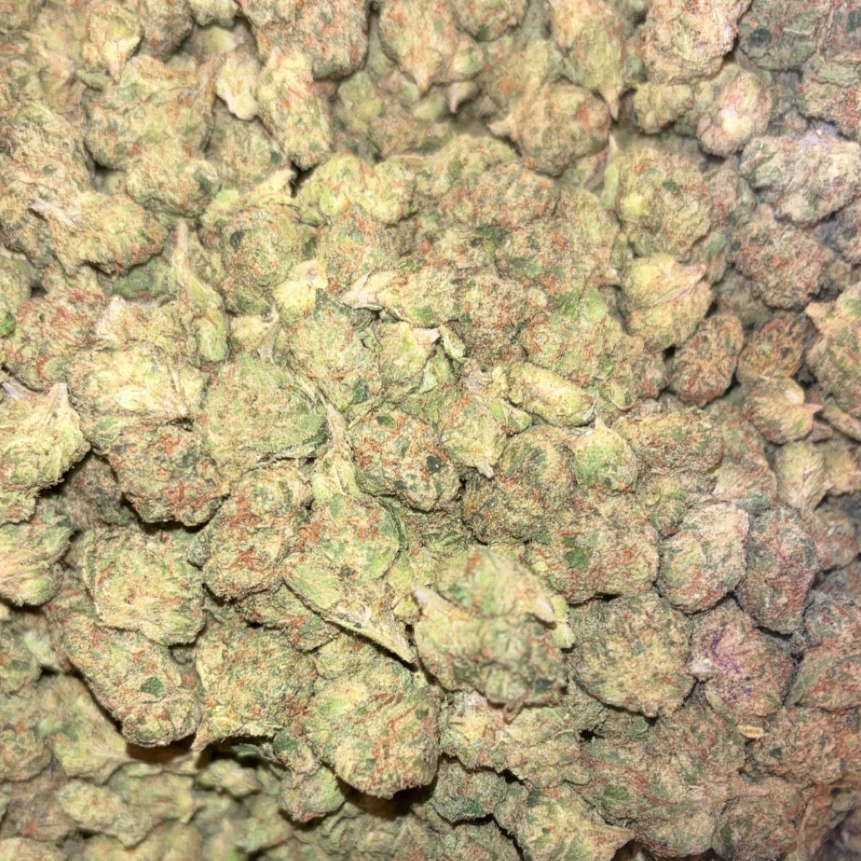 Lemon Cherry Gelato Smalls - THCa